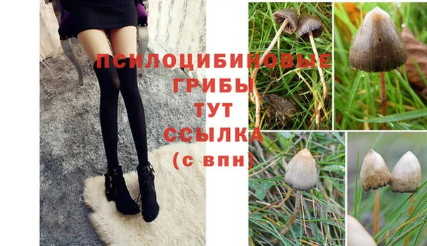 прущий лед Инта
