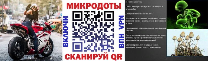 Купить  Каменногорск  Галлюциногенные грибы MAGIC MUSHROOMS 